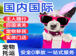 牡丹江航空邮寄国际宠物托运 【国